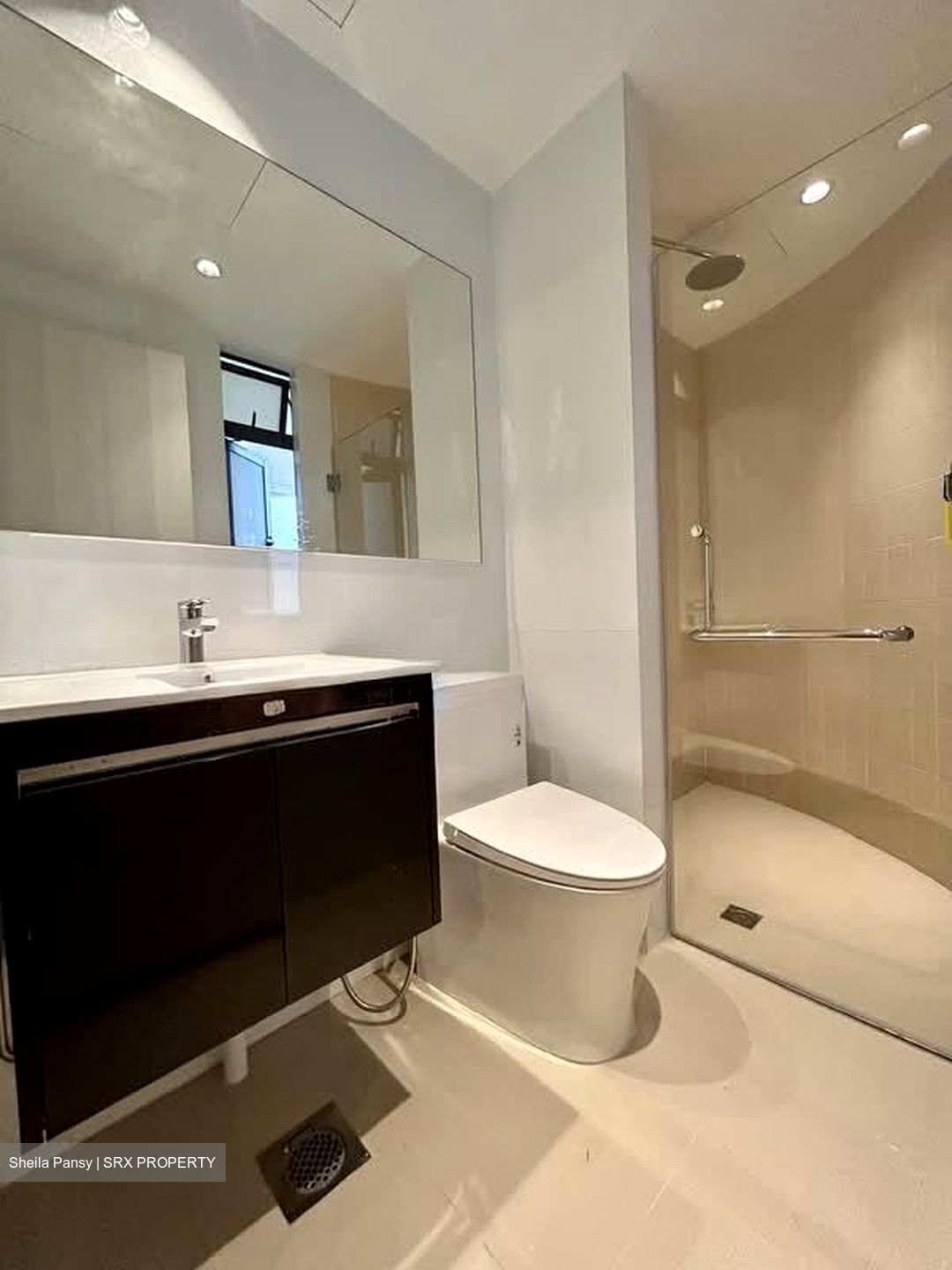 The Balmoral (D10), Condominium #545213051